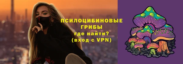 героин Алексин