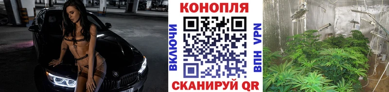 Бошки марихуана семена  Купить где  Воскресенск 